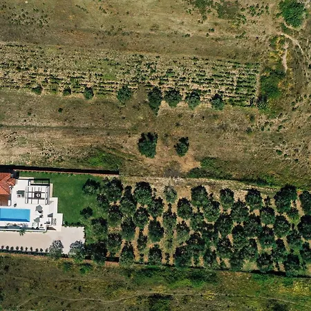 Villa Olivetum Zadar Exterior photo