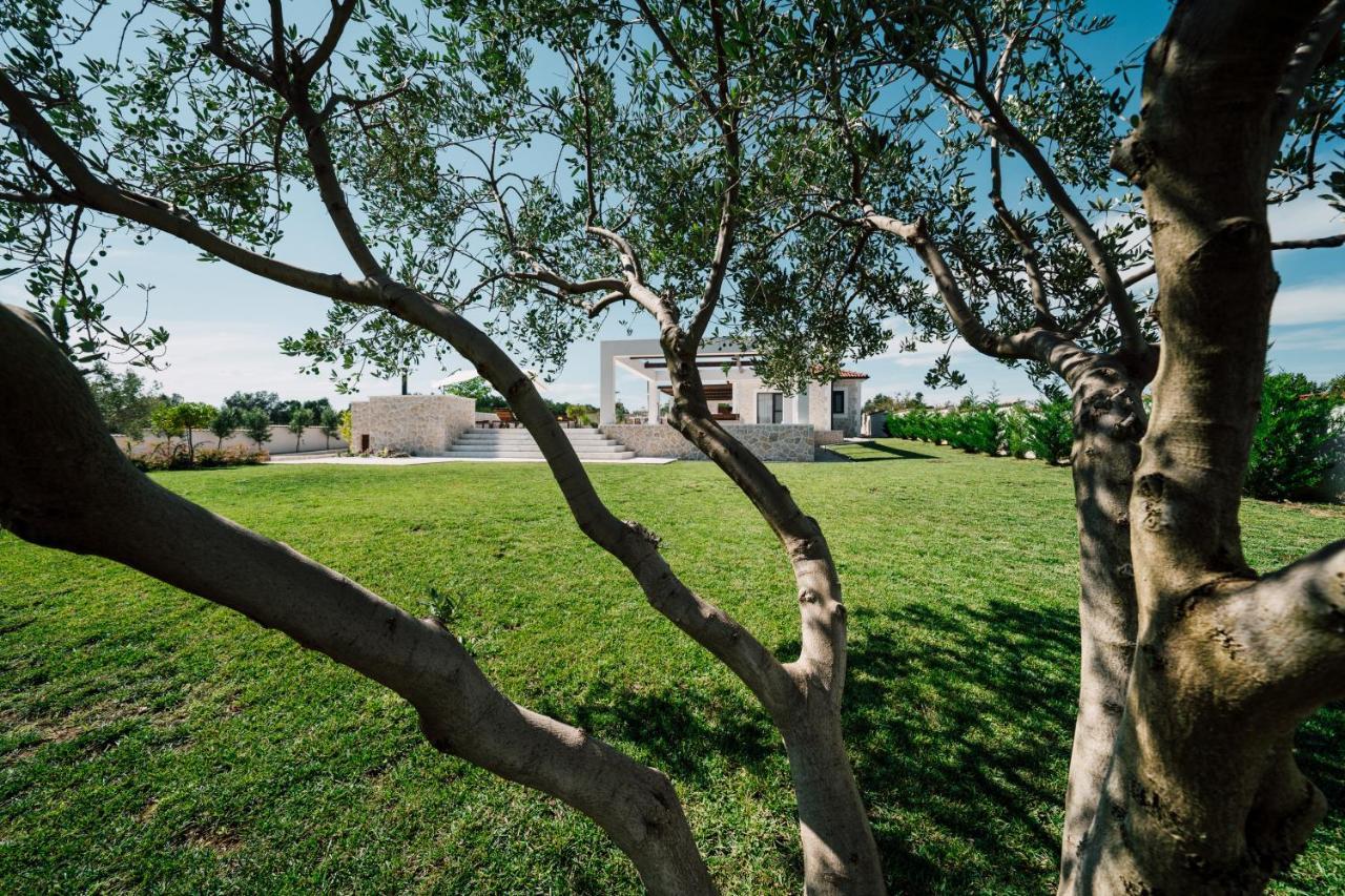 Olivetum Villa
